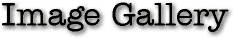 Image Gallery